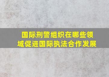 国际刑警组织在哪些领域促进国际执法合作发展