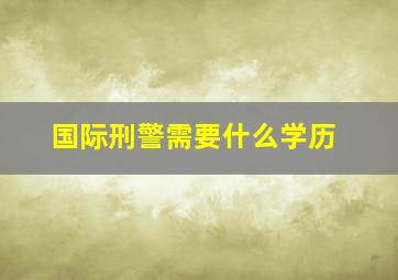 国际刑警需要什么学历