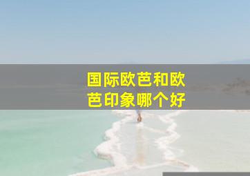 国际欧芭和欧芭印象哪个好