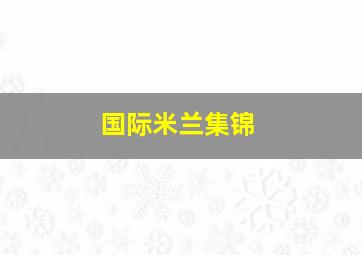 国际米兰集锦