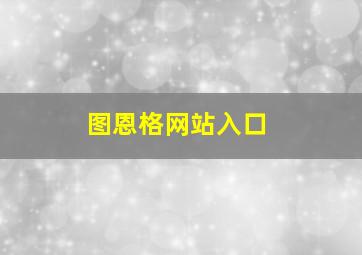 图恩格网站入口