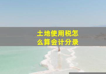 土地使用税怎么算会计分录