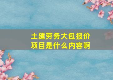 土建劳务大包报价项目是什么内容啊