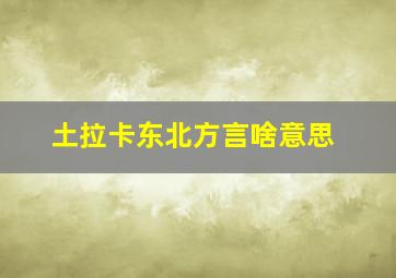 土拉卡东北方言啥意思