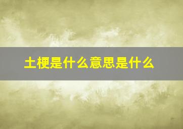 土梗是什么意思是什么