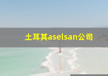 土耳其aselsan公司