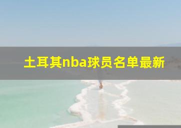 土耳其nba球员名单最新