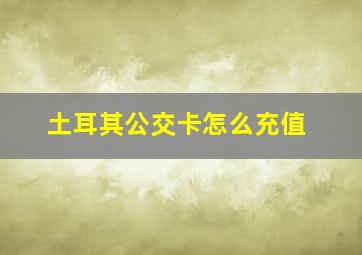 土耳其公交卡怎么充值