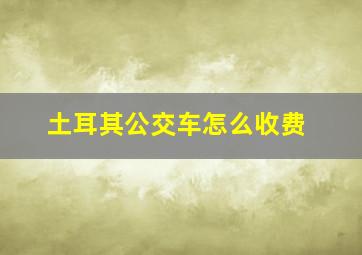 土耳其公交车怎么收费