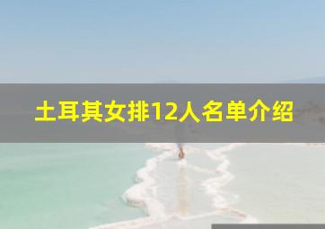 土耳其女排12人名单介绍