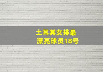 土耳其女排最漂亮球员18号