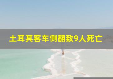 土耳其客车侧翻致9人死亡