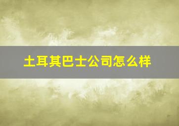 土耳其巴士公司怎么样