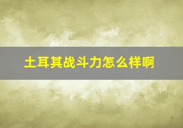 土耳其战斗力怎么样啊