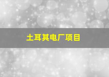 土耳其电厂项目