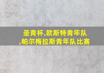 圣青杯,欧斯特青年队,帕尔梅拉斯青年队比赛