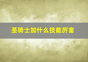 圣骑士加什么技能厉害