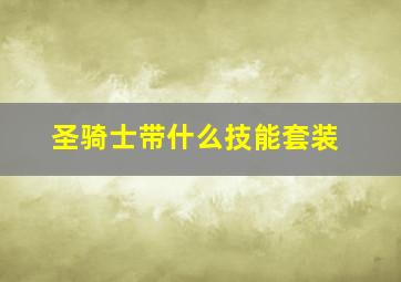 圣骑士带什么技能套装