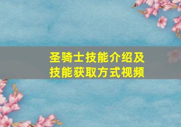 圣骑士技能介绍及技能获取方式视频