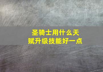 圣骑士用什么天赋升级技能好一点