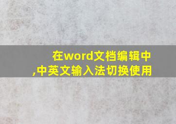 在word文档编辑中,中英文输入法切换使用