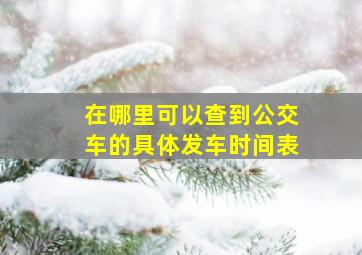 在哪里可以查到公交车的具体发车时间表