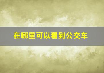 在哪里可以看到公交车