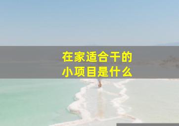 在家适合干的小项目是什么