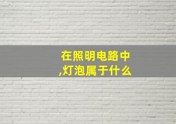 在照明电路中,灯泡属于什么