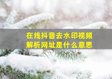 在线抖音去水印视频解析网址是什么意思