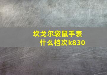 坎戈尔袋鼠手表什么档次k830