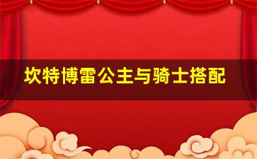 坎特博雷公主与骑士搭配