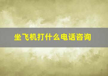 坐飞机打什么电话咨询