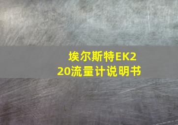 埃尔斯特EK220流量计说明书