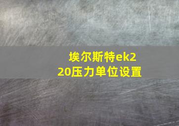 埃尔斯特ek220压力单位设置