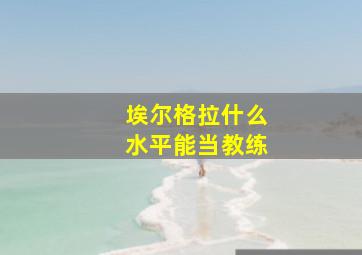 埃尔格拉什么水平能当教练