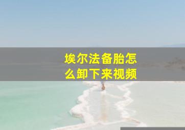 埃尔法备胎怎么卸下来视频