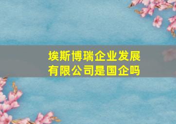 埃斯博瑞企业发展有限公司是国企吗