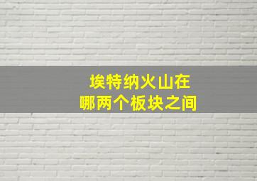 埃特纳火山在哪两个板块之间