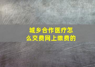 城乡合作医疗怎么交费网上缴费的