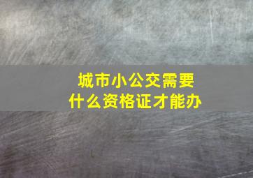 城市小公交需要什么资格证才能办