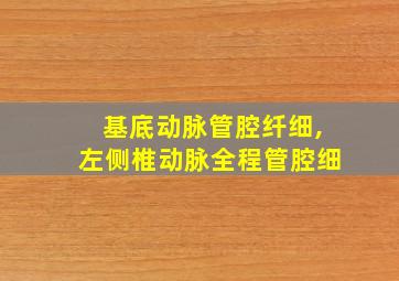 基底动脉管腔纤细,左侧椎动脉全程管腔细