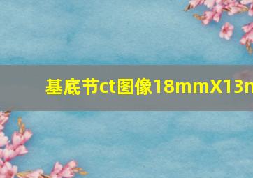 基底节ct图像18mmX13mm