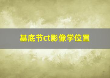 基底节ct影像学位置