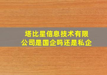 塔比星信息技术有限公司是国企吗还是私企