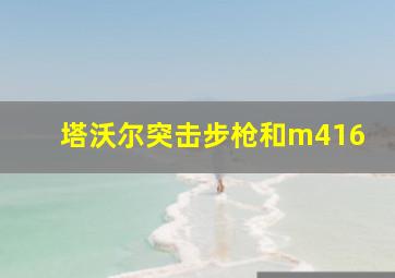 塔沃尔突击步枪和m416