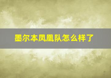 墨尔本凤凰队怎么样了