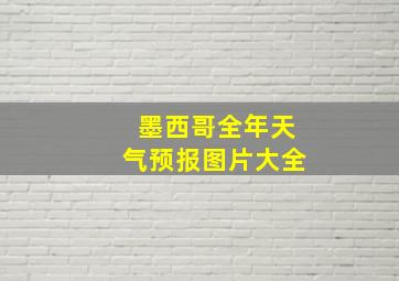 墨西哥全年天气预报图片大全