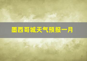 墨西哥城天气预报一月