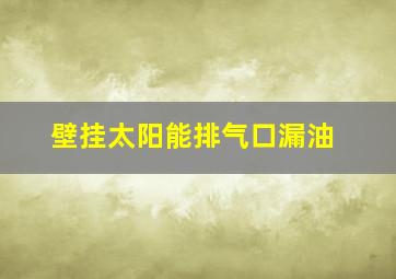 壁挂太阳能排气口漏油